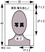 写真のサンプル